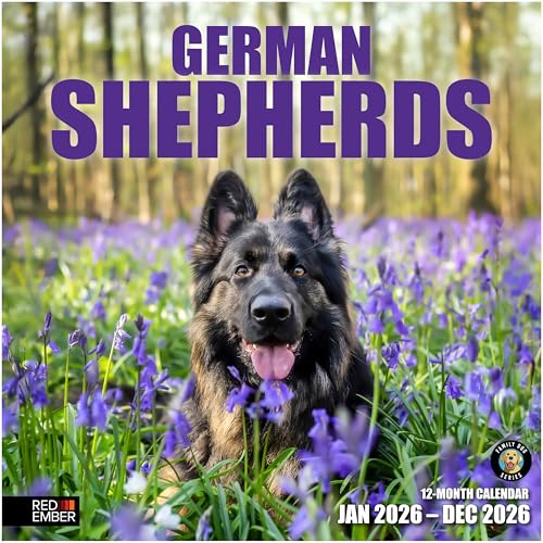 RED EMBER German Shepherds 2026 Wall Calendar 12 Month | 12' x 24' Open | Thick & Sturdy Paper |...