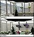 Flex-Fence, Decorative Versa Fence Louver System, Perfect for Gardens, Patios and Outdoor Spaces, Indoor and Outdoor Use, 1 Pack