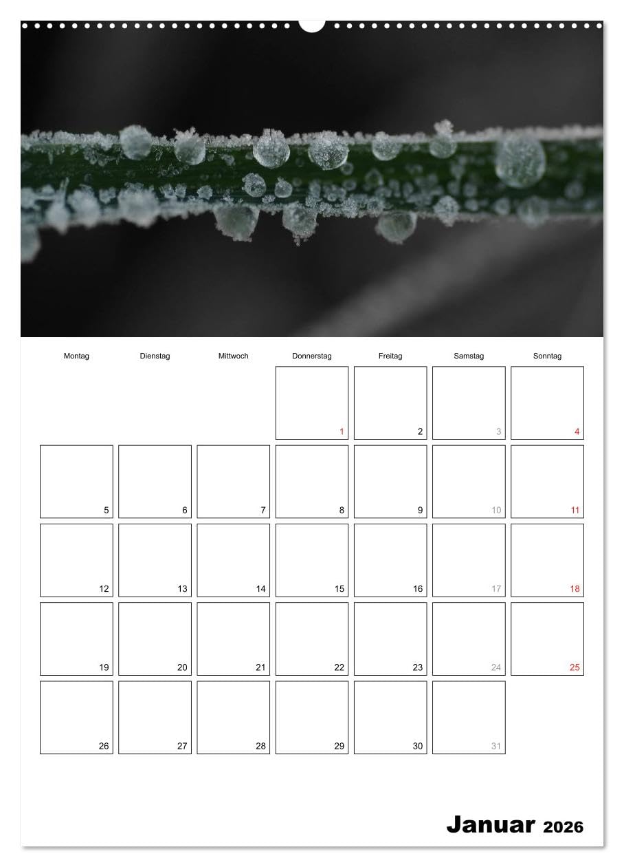 schwarz/weiß trifft farbe - DEIN TERMINKALENDER/Planer (Wandkalender 2026 DIN A2 hoch), CALVENDO Monatskalender