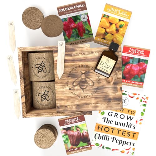 Grow Your Own Chilli Kits, The Worlds Hottest Chilli Seeds Starter Kit, Includes Famous Trinidad Scorpion Chilli, Gardening Gifts from The Little Trees Bees & Seeds Company
