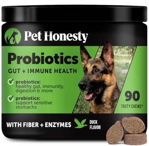 PetHonesty Probiotics for Dogs - Dog Chew Support Gut Health, Itchy Skin, Seasonal Allergies, Immune Health - Natural Dog Probiotics Digestive Enzyme (Duck)