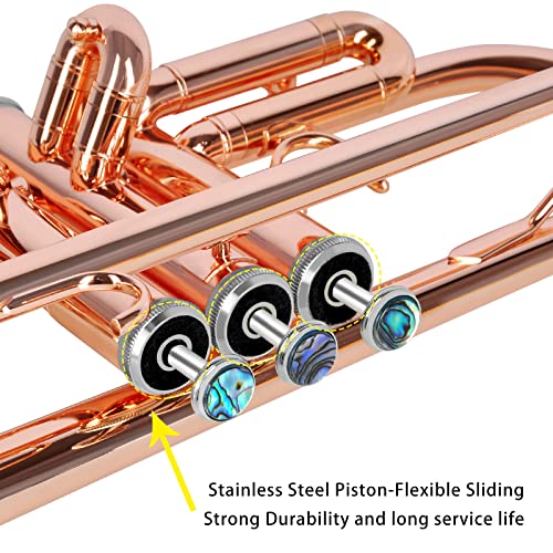 Eastrock Bb Trumpet Standard Trumpet Set With Carrying Case,Gloves, 7C Mouthpiece, Cleaning Kit, Tuning Rod (Phosphor Copper) #TOP1