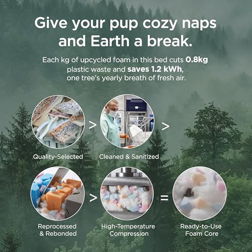 BEDSURE waschbares Hundebett Grosse Hunde - 106x76cm extra Dicke unterstützende Hundesofa mit wasserdichter Hülle, rutschfest Hundekorb große mit weichem plüsch Sherpa,Creme