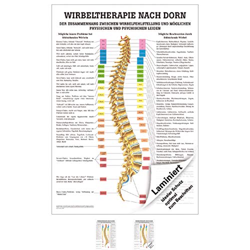 Rüdiger Wirbeltherapie nach Dorn Poster Anatomie 70x50 cm medizinische Lehrmittel