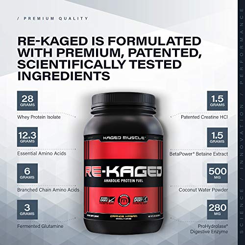 Post Workout Protein Powder, REKAGED Whey Protein Powder,Orange Kream (packaging may vary