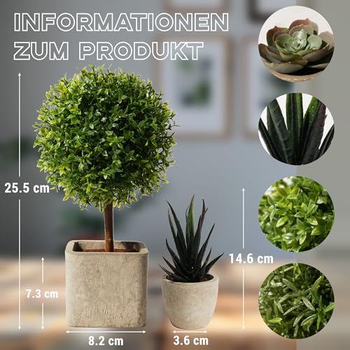 YVONNEYI 4Stück Kunstpflanze, 25.5/14.6 cm Künstliche Pflanzen wie echt für Deko Wohnzimmer, Klein Sukkulenten Künstliche für Office Schlafzimmer Badezimmer Küchen Zuhause Innen Deko – Bild 3