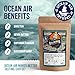Ocean Air Whole Bean Coffee by Saltwinds Coffee Company (340g) | Dark Roast Coffee Beans 100% Arabica Low Acid Coffee Bean | Smooth & Full Body Freshly Roasted in the Maritimes