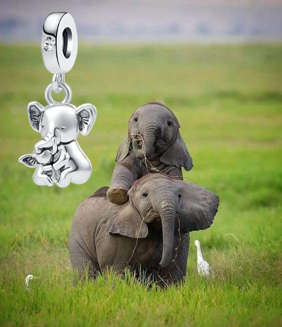 Elephant Charm Compatible with Pandora Bracelet Good Luck Lucky Mother Daughter Son Mom Dangle Animal Bead for Women - Image 5