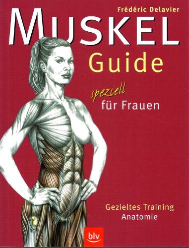 Muskel-Guide speziell für Frauen: Gezieltes Training · Anatomie