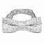 Pale Silver Darlene Paisley