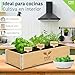 Imagen de PYEF CRAFTS Huerto Urbano Hierbas Aromáticas