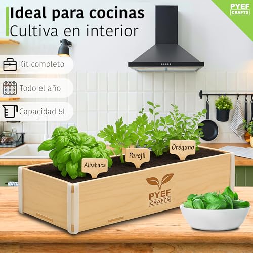 Huerto-Urbano-Hierbas-Aromaticas-Semillas-Oregano-Albahaca-Perejil-y-Cilantro-Kit-Plantas-Aromaticas-Interior-Kit-Semillas-Plantas-Culinarias-Huerto-en-casa