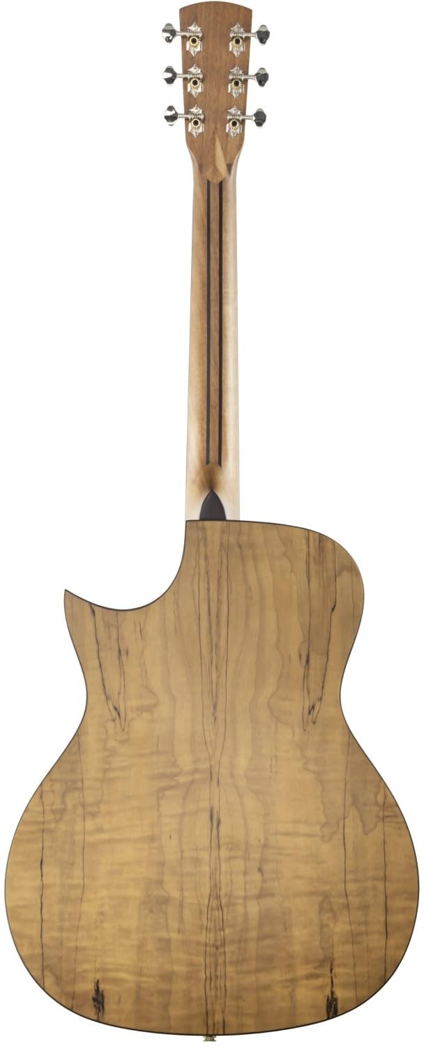 Shape Orchestra 588S-MT-CEB Guitare folk