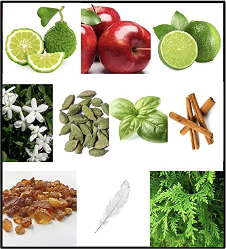 Fila Black For Men - Invigorating Spicy And Floral Fragrance For Him - Extra Strength, Long Lasting Scent Payoff For All-Day Wear - Trendy, Rectangular, Streamlined, Portable Bottle Design - 8.4 Oz #TOP4