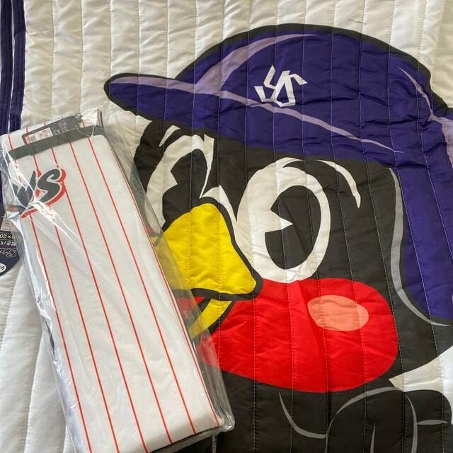 phiten(ファイテン) 星のやすらぎ ふんわり敷きパッド ワインブラウン