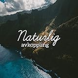 Zen Relax Sounds Revolution