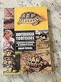 Mediterranean Tortoises