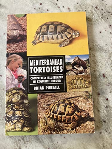 Mediterranean Tortoises