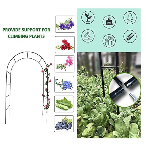 Arche de jardin pour rosiers, solution contre l'affaissement - 2
