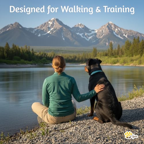 Image of ADITYNA Leather Dog Collar for Large & Extra Large Dogs, Adjustable 19-30 inch | Padded, heavy-duty metal buckle. Great for walking, training - ideal for Rottweiler, German Shepherd, Golden Retriever.
