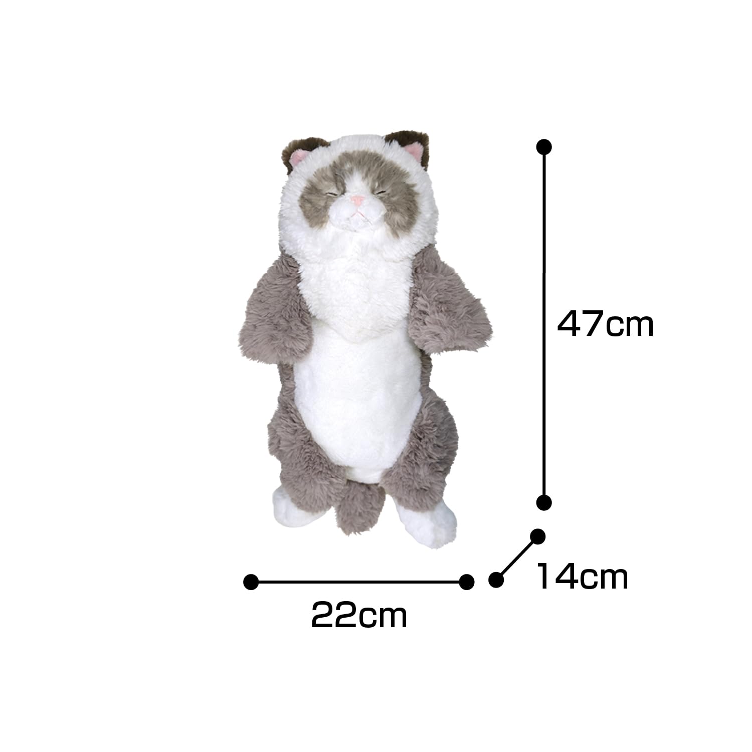 Amazon.co.jp: サンレモン ひざねこ すやすや ラグドール GYBR 22×14
