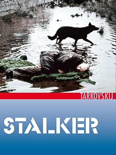  Stalker