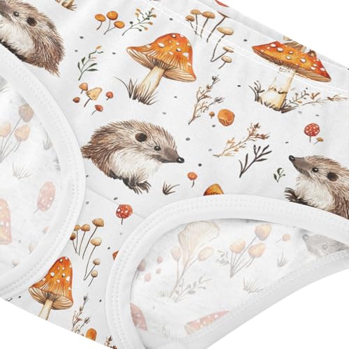 ZZKKO Mushrooms and Hedgehogs Girls Underwear Toddler Panties for Girls Comfort Brief Size 8Y3