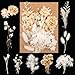 Trockenblumen,Natürliche Gemischte Getrocknete Blumen,Trockenblumen Zum Basteln,Trockenblumen Klein für DIY Epoxidharz Scrapbook Zubehör Handwerk Karten Machen (Weiß) Mac Book günstig Kaufen-Trockenblumen,Natürliche Gemischte Getrocknete Blumen,Trockenblumen Zum Basteln,Trockenblumen Klein für DIY Epoxidharz Scrapbook Zubehör Handwerk Karten Machen (Weiß)