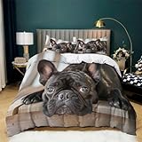 CozyRest