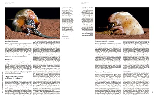 Handbook of the Mammals of the World - Volume 5: Monotremes and Marsupials (Handbook of Mammals of the World) - Image 5