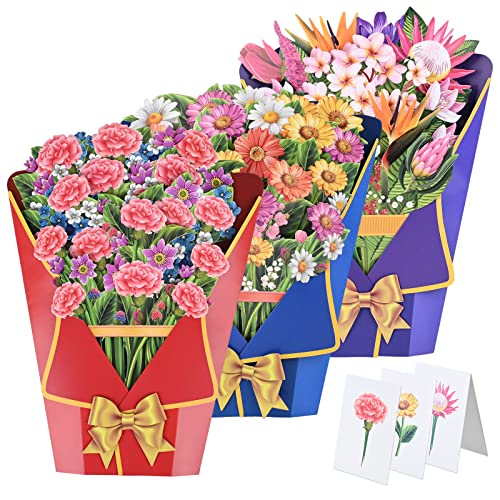 Paper Pop Up Cards Fresh Cut Flowers Bird Of Paradise/Carnation/Daisy 13.58 Inch 3D Popup Greeting Cards With Note Card And Envelope Forever Flower Bouquet Gifts For Women Mother's Day Birthday - 3 Pcs （ Bird Of Paradise/Carnation/Daisy） #TOP20