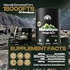 Shilajit Puro de Grado Oro del Himalaya Orgánico para Hombres y Mujeres, 75%+ Ácido Fúlvico y 85+ Minerales Traza - Resina para Energía e Inmunidad (30 Gramos) 4
