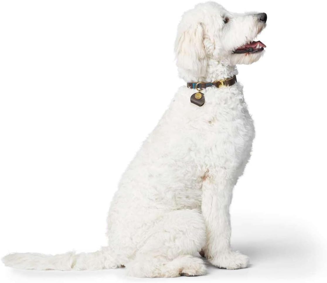 HUNTER Sansibar Dog Collar Colour: Dark Brown, Elegant Cowhide Leather, Maritime Details, Blue Decorative Stitching, Brass-Coloured Fittings, Fully Adjustable, Stylish and Robust, Made in Germany,