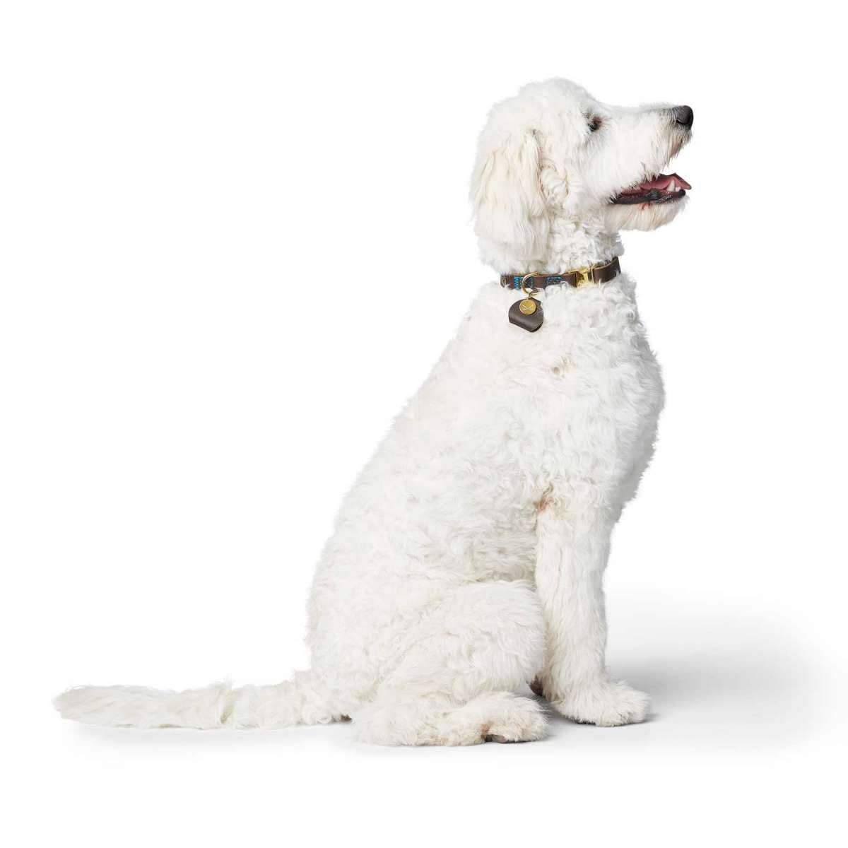 HUNTER Sansibar Hundehalsung