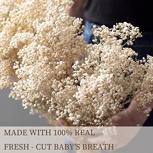 Dried Flowers Babys Breath Flowers Bouquet With Lights,17.2 Inch 3000+ Natural Ivory White Bulk Flowers Real Gypsophila Branches For Home Decor, Wedding Wreath Floral, Boho Decor, Dry Flowers For Vase #TOP4