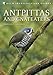 Produktbild Antpittas and Gnateaters (Helm Identification Guides)