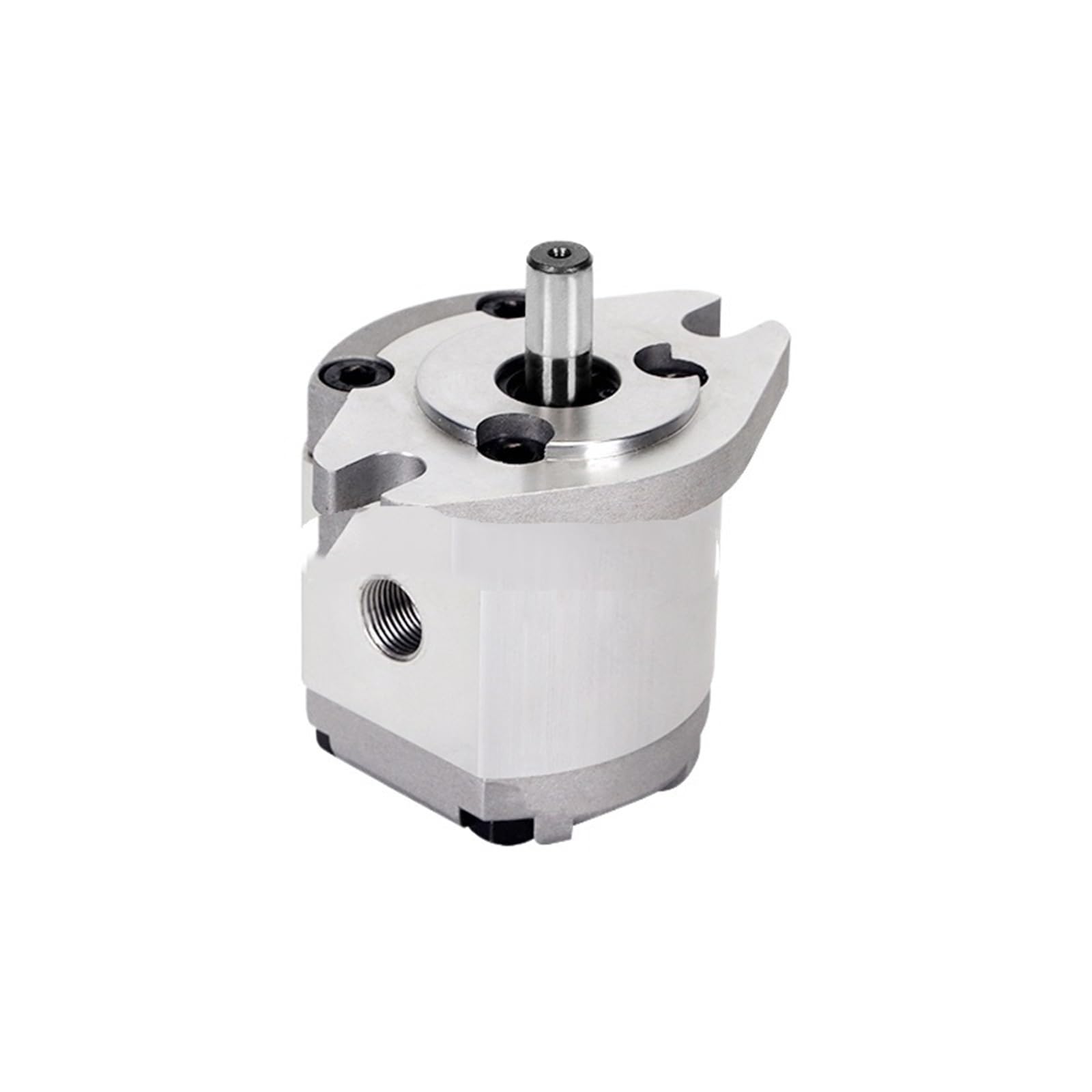 Kxiwlufv One Color Hydraulic Gear Pump Hgp-1A-F0.5r Hgp-1A-F1r .8Rhgp-1A-F2r Hgp-1A-F3r/4R/8R5r High Pressure(Hgp-1A-F0.8r)