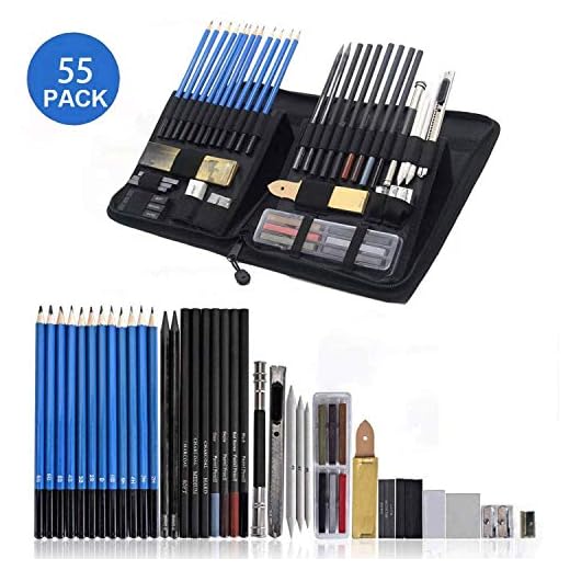 Juego de 50 lápices de dibujo con gomas de borrar para adultos - Juego de lápices de grafito profesional - Juego de suministros de dibujo artístico perfectamente presentado