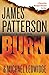Burn (A Michael Bennett Thriller, 7)