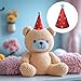 Alrhso Party Hats for Stuffed Animals, 10 Pcs Colorful Stuffed Animal Party Hat, Lovely Paper Cone Tiny Birthday Hats, Mini PartyHat for Stuff Animals Pets, Accessories