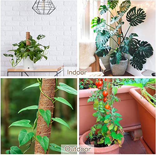 Image of Garden Art Premium 24 inch Moss Coir Pole | Stackable & Bendable Plant Support Stick for Monstera, Money Plant & Climbers | Strong Indoor Outdoor Plant Extension to Grow Upwards GABCP-60 (Pack of 1)