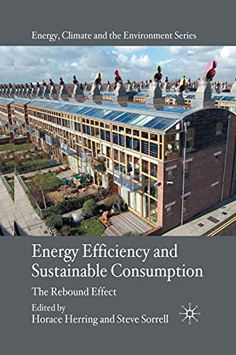Energy Efficiency and Sustainable Consumption: The Rebound Effect (Energy, Climate and the Environment)