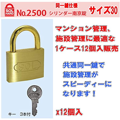 Amazon.co.jp: 「SOL HARD（ソール・ハード）」 No.2500 シリンダー