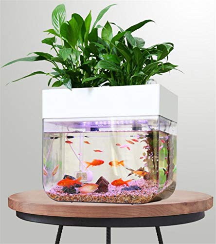 おしゃれ アクアリウム 水耕栽培システム 有機セルフ給水プランタ 家庭用 アクアポニックス ブリオ 水槽 セット