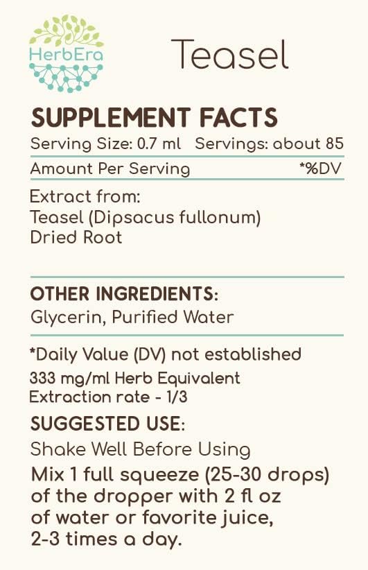 HerbEra Teasel B60 Alcohol-Free Herbal Extract Tincture, Concentrated Liquid Drops Natural Teasel (Dipsacus fullonum, Dipsacus sylvestris) 2 fl oz - Image 3