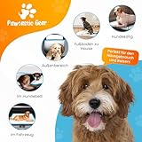 Pawtastic Gear - Welpenunterlagen 90x60 cm, 5-lagige Trainingspads 50 Stück, Auslaufsicher und Strapazierfähig mit Schnell Trocknender Oberfläche, PIPI Matten für Hunde, Blau-Weiß