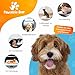 Pawtastic Gear - Welpenunterlagen 90x60 cm, 5-lagige Trainingspads 50 Stück, Auslaufsicher und Strapazierfähig mit Schnell Trocknender Oberfläche, PIPI Matten für Hunde, Blau-Weiß