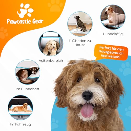 Pawtastic Gear - Welpenunterlagen 90x60 cm, 5-lagige Trainingspads 50 Stück, Auslaufsicher und Strapazierfähig mit Schnell Trocknender Oberfläche, PIPI Matten für Hunde, Blau-Weiß