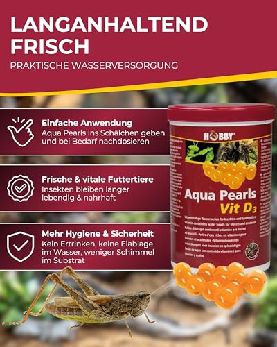 HOBBY Terraristik Aqua Pearls Vit D3 1000 ml I vitaminhaltige Wasserperlen I Wasserspeicher für Terrarien I Für Spinnen, Insekten & Futterinsekten I sicher & ergiebig I Terrarium Zubehör