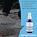 Focus, Energy Boosting Essential Oil Spray | Wake Up & Fight Mental Fatigue | Best Concentration Miracle Aromatherapy Blend for Motivation, Alertness, Focusing, Brain Power, Function, Memory Wellbeing